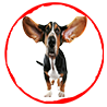icona cane con grandi orecchie per ascolto Hapu